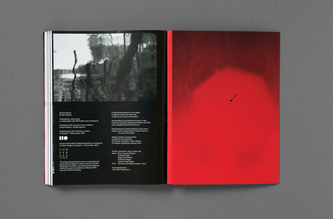 Richard Mosse – Broken Spectre