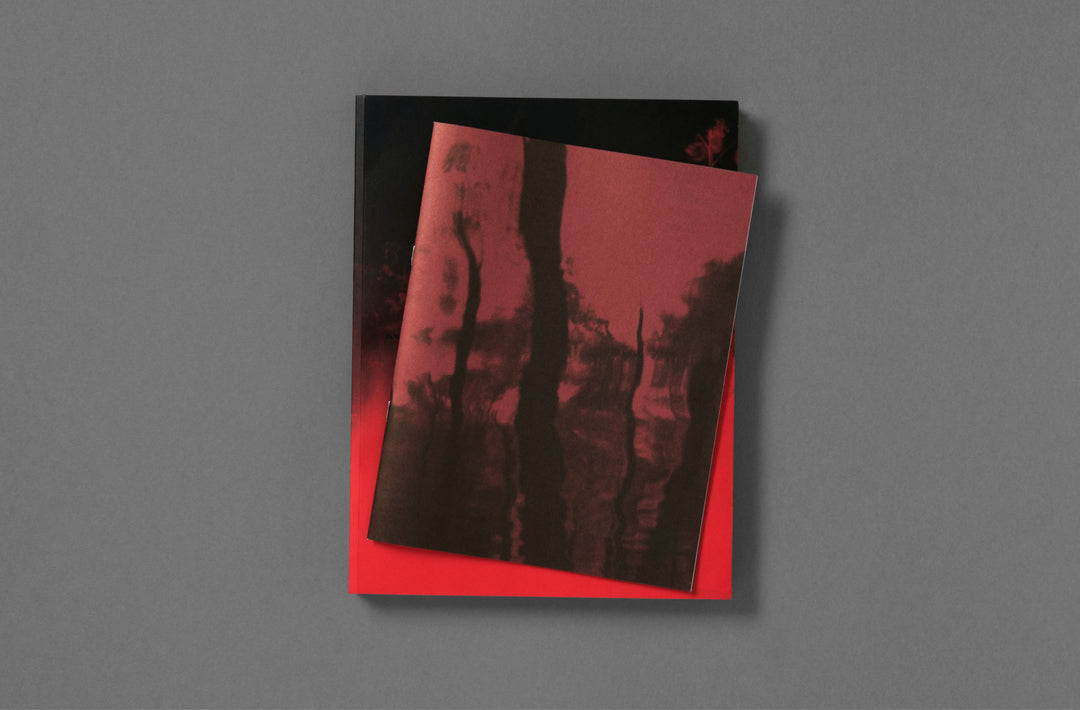 Richard Mosse – Broken Spectre