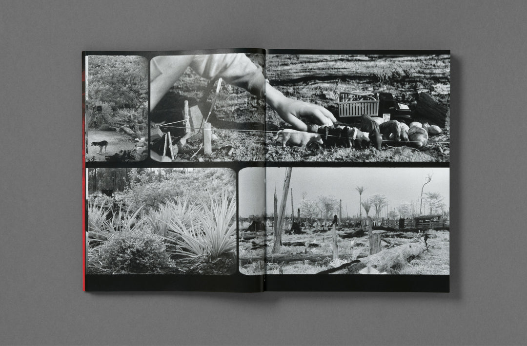 Richard Mosse – Broken Spectre