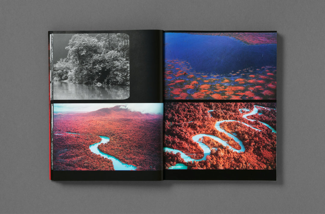 Richard Mosse – Broken Spectre
