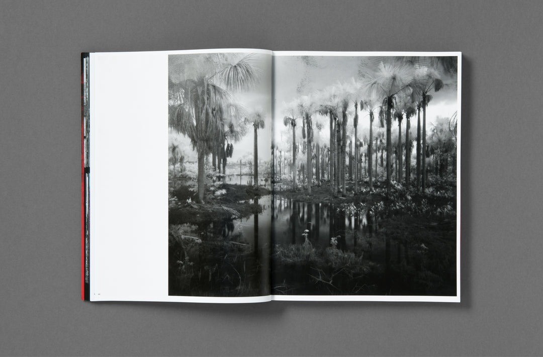 Richard Mosse – Broken Spectre