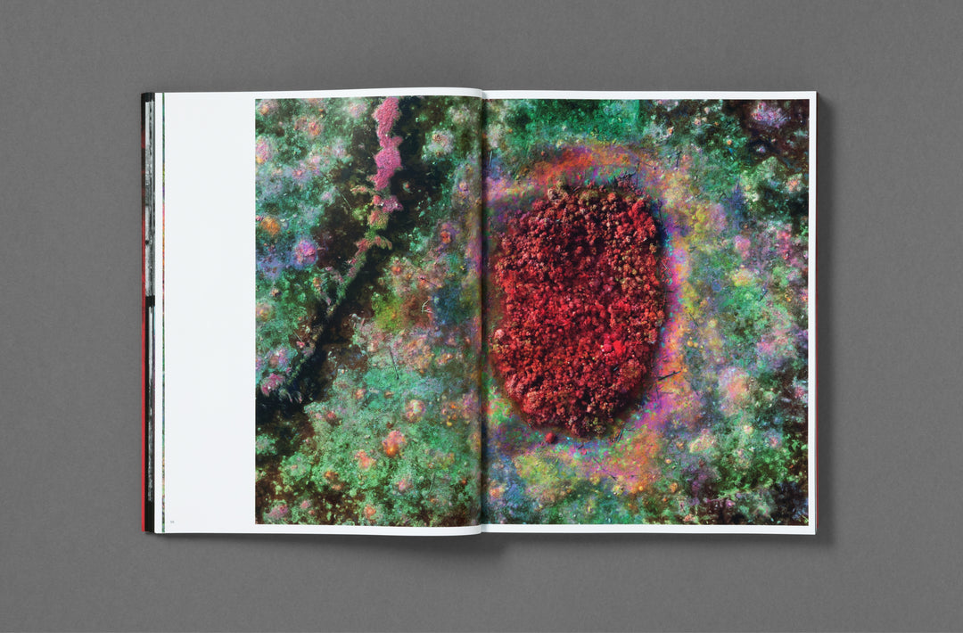 Richard Mosse – Broken Spectre