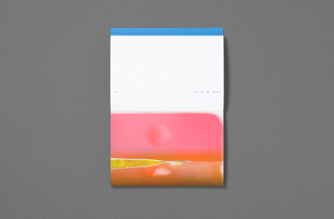 Paul Rousteau – Seascapes