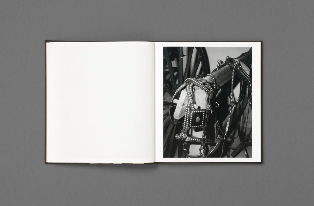 Rahim Fortune – I can’t stand to see you cry, book published by Loose Joints. Edited by Sarah Chaplin Espenon.