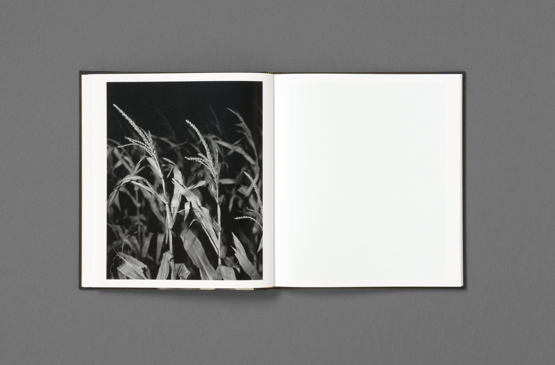Rahim Fortune – I can’t stand to see you cry, book published by Loose Joints. Edited by Sarah Chaplin Espenon.