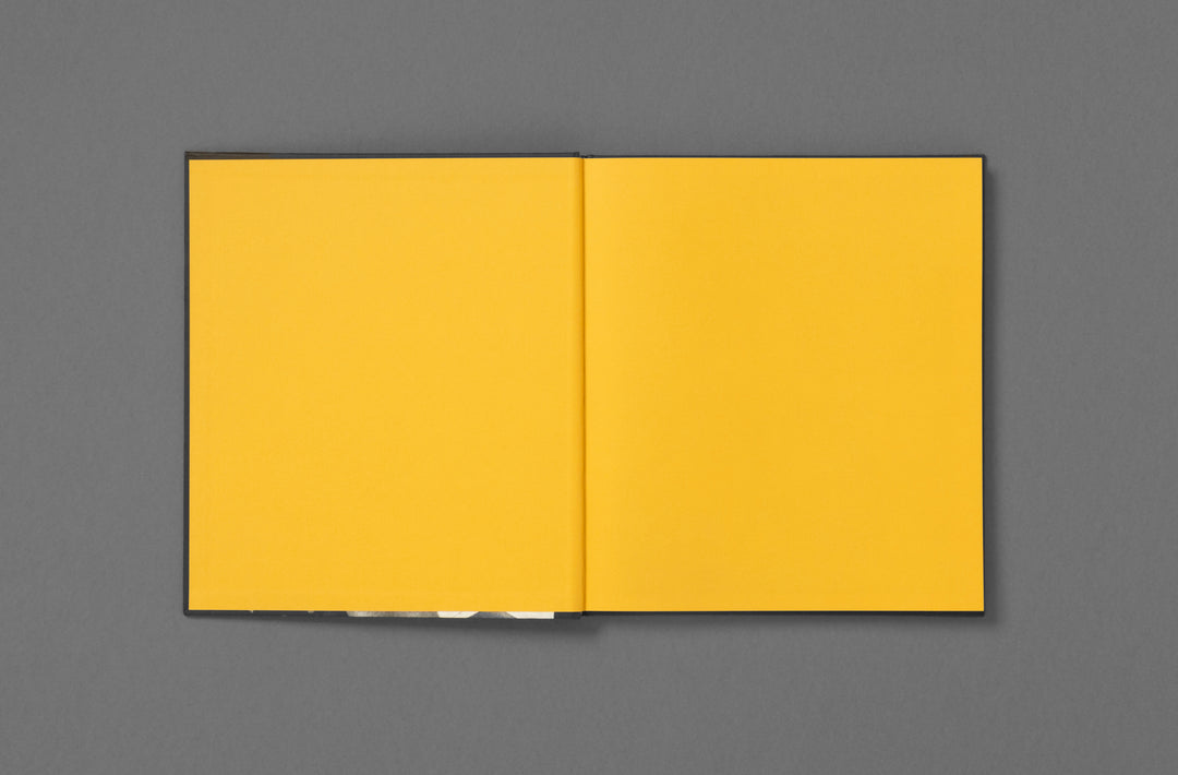 Rahim Fortune – I can’t stand to see you cry, book published by Loose Joints. Edited by Sarah Chaplin Espenon.