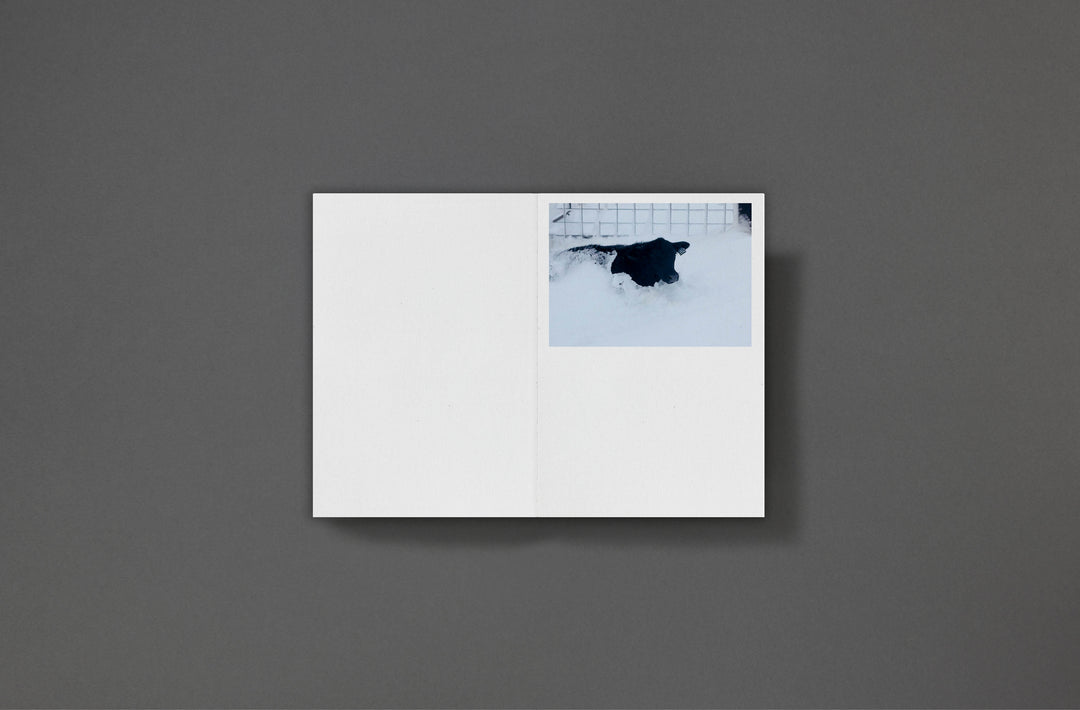 Sarah Piegay Espenon - Humanise Something Free of Error