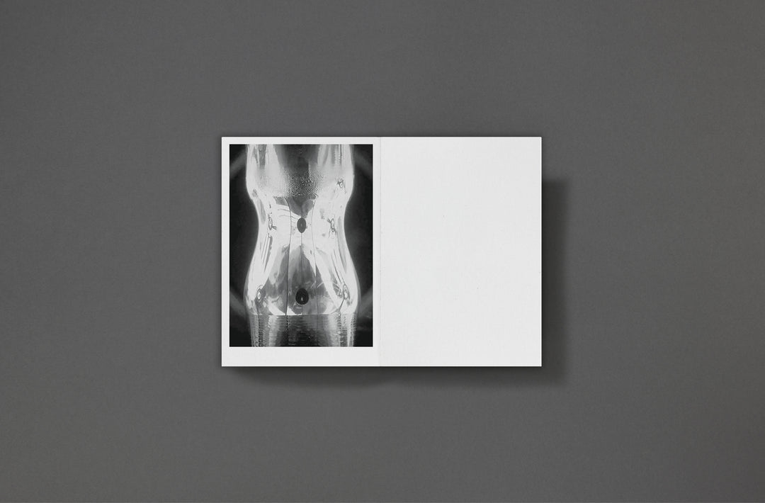 Sarah Piegay Espenon - Humanise Something Free of Error