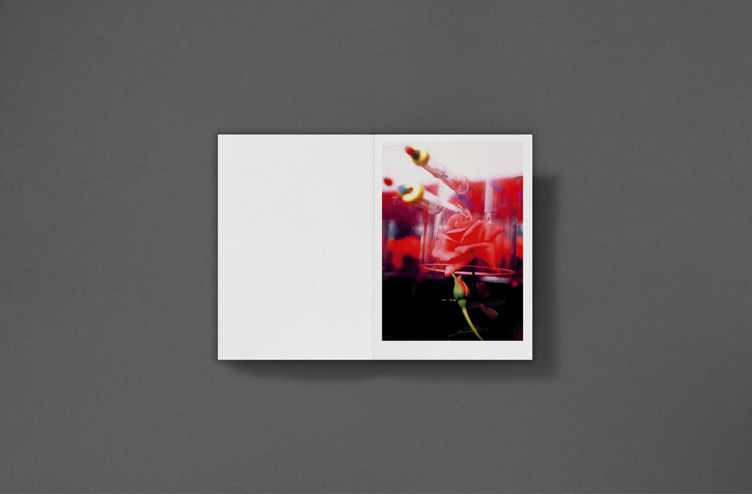 Sarah Piegay Espenon - Humanise Something Free of Error
