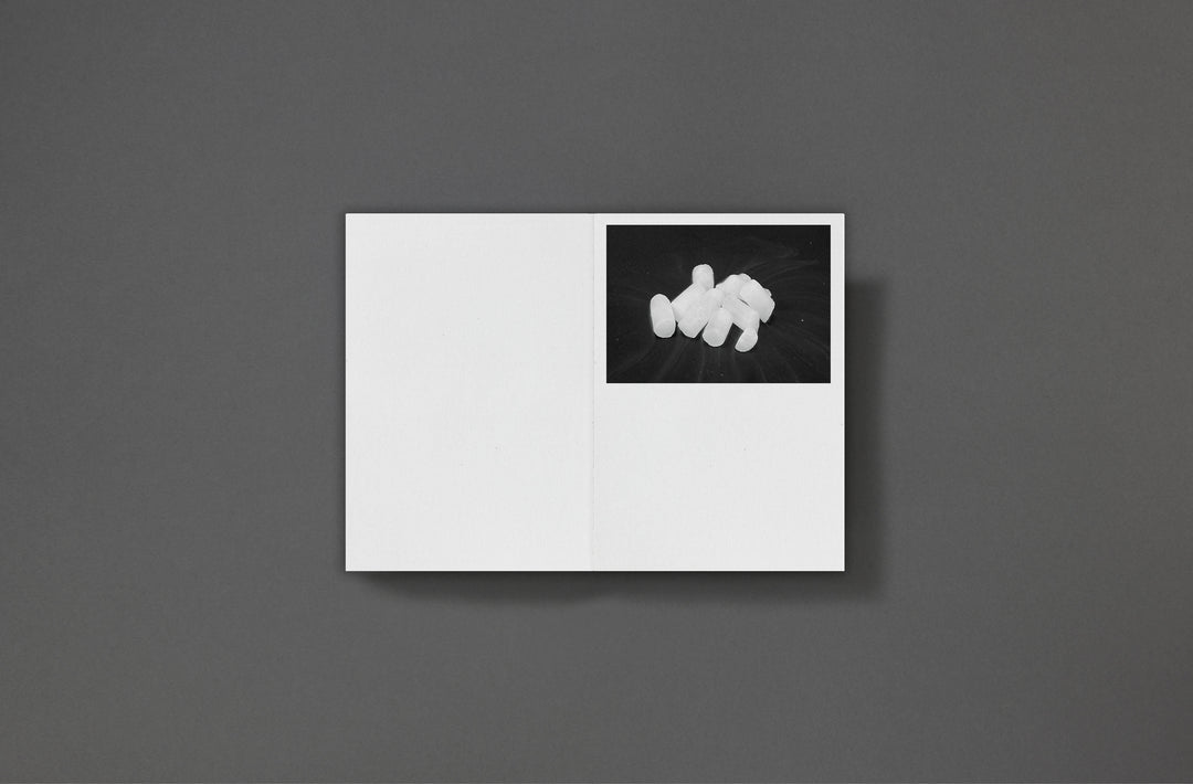 Sarah Piegay Espenon - Humanise Something Free of Error