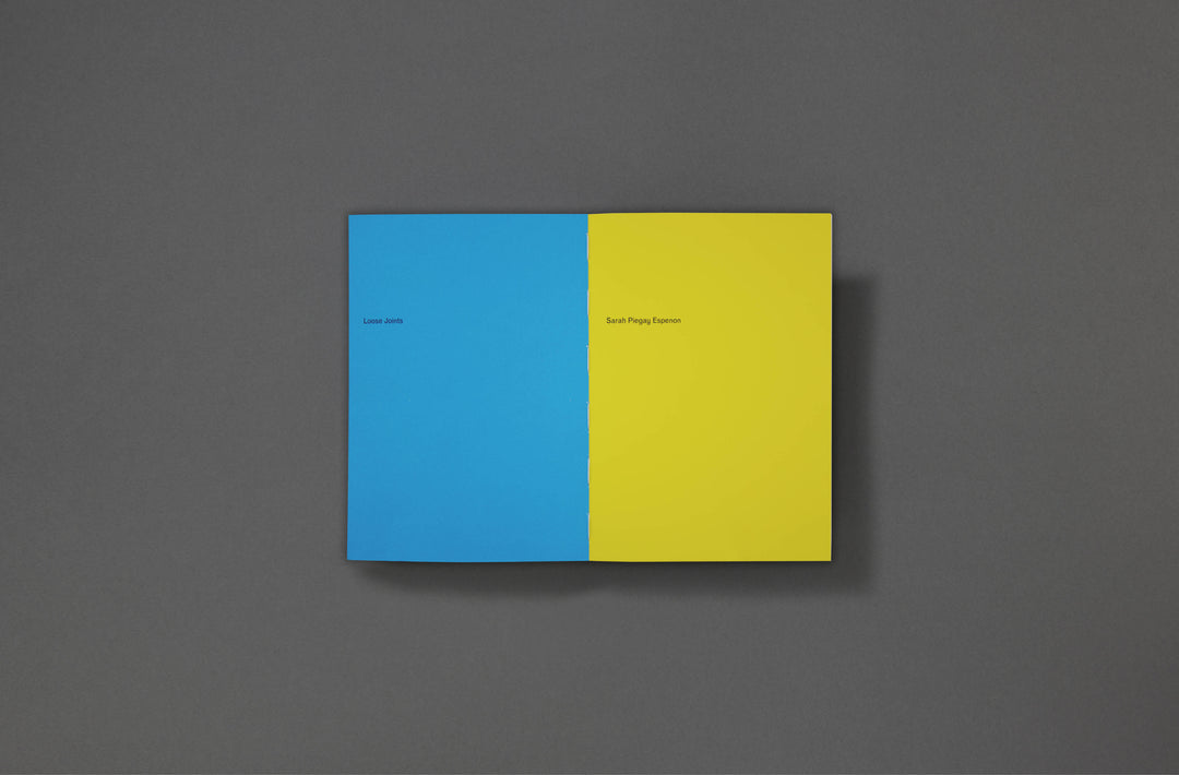 Sarah Piegay Espenon - Humanise Something Free of Error