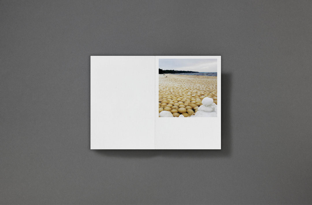 Sarah Piegay Espenon - Humanise Something Free of Error