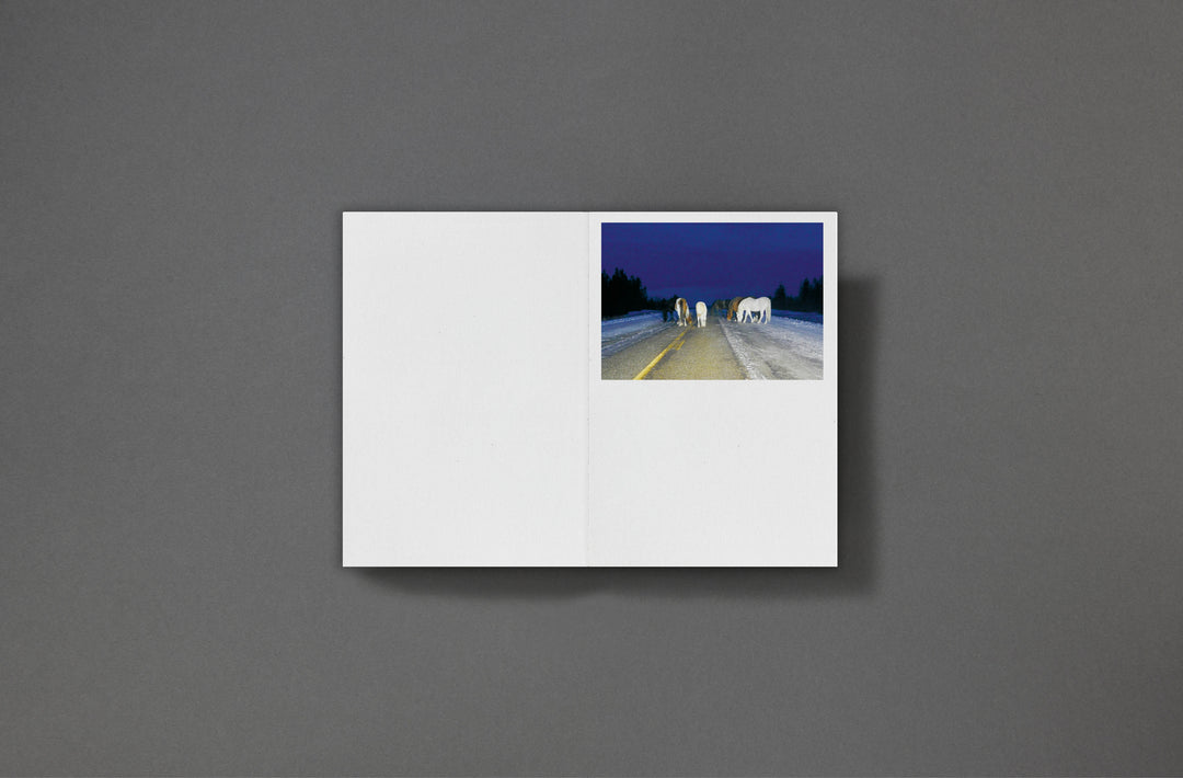 Sarah Piegay Espenon - Humanise Something Free of Error