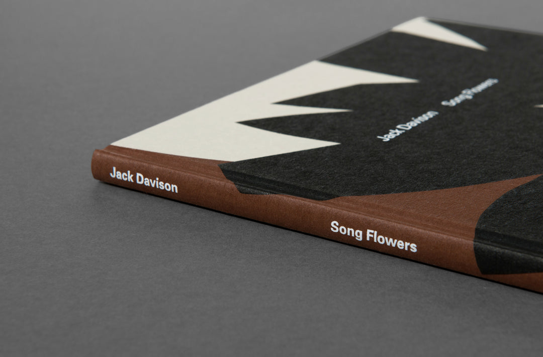 Jack Davison - Song Flowers