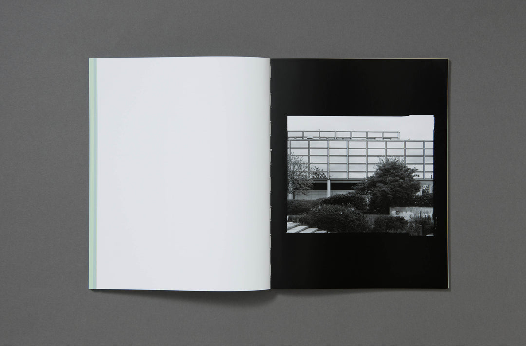 Stuart Whipps – Necessary Amendments