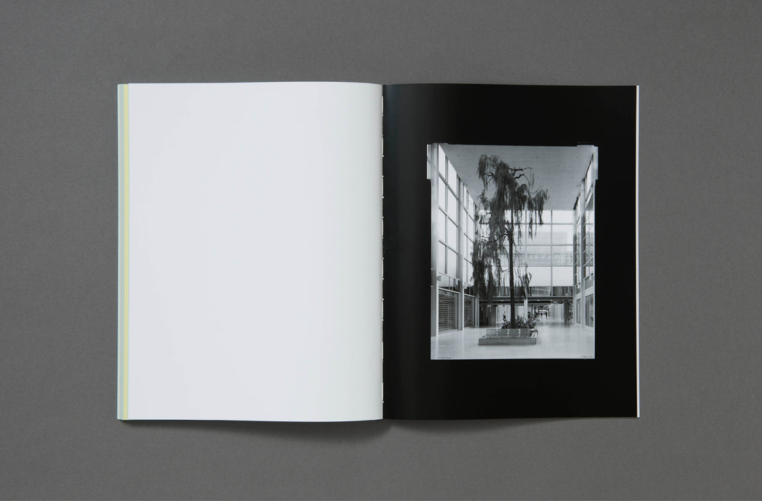 Stuart Whipps – Necessary Amendments