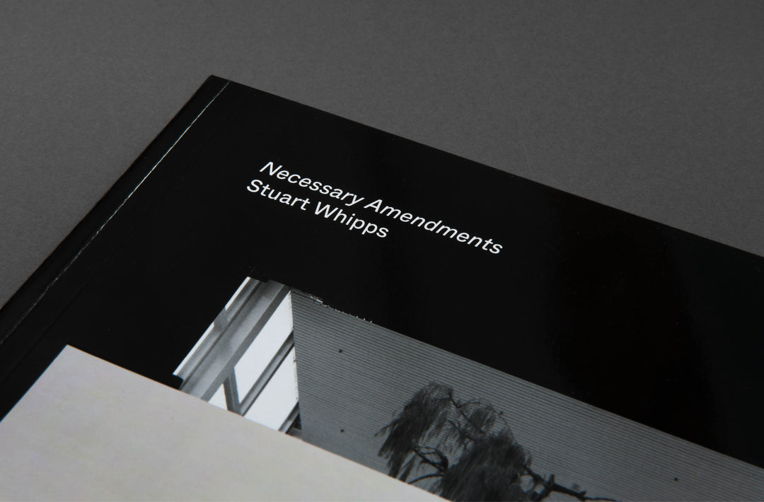 Stuart Whipps – Necessary Amendments
