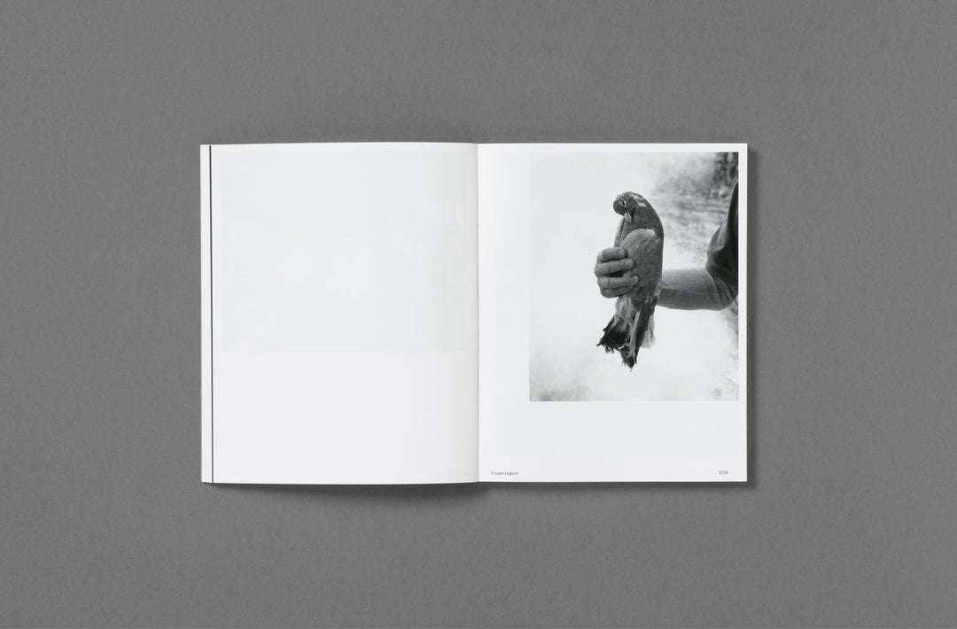 Tealia Ellis Ritter – The Model Family, book published by Loose Joints. Text by Lisa Taddeo. Edited by Sarah Chaplin Espenon.