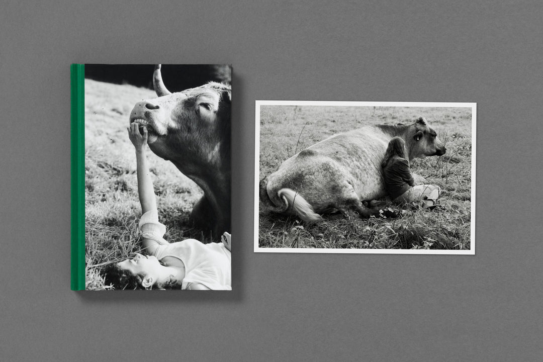 Yana Wernicke – Companions Print Edition