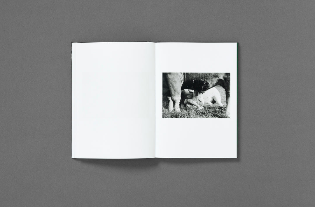Yana Wernicke – Companions. Book published by Loose Joints. Edited by Sarah Chaplin Espenon.
