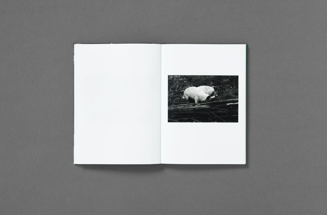 Yana Wernicke – Companions. Book published by Loose Joints. Edited by Sarah Chaplin Espenon.