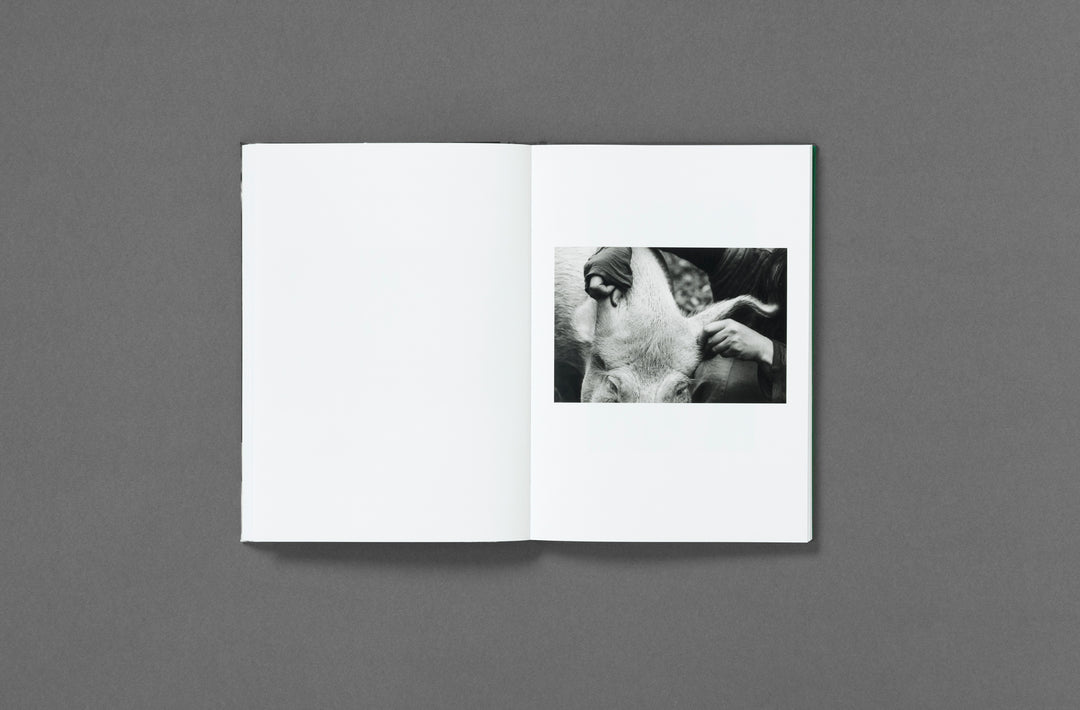 Yana Wernicke – Companions. Book published by Loose Joints. Edited by Sarah Chaplin Espenon.