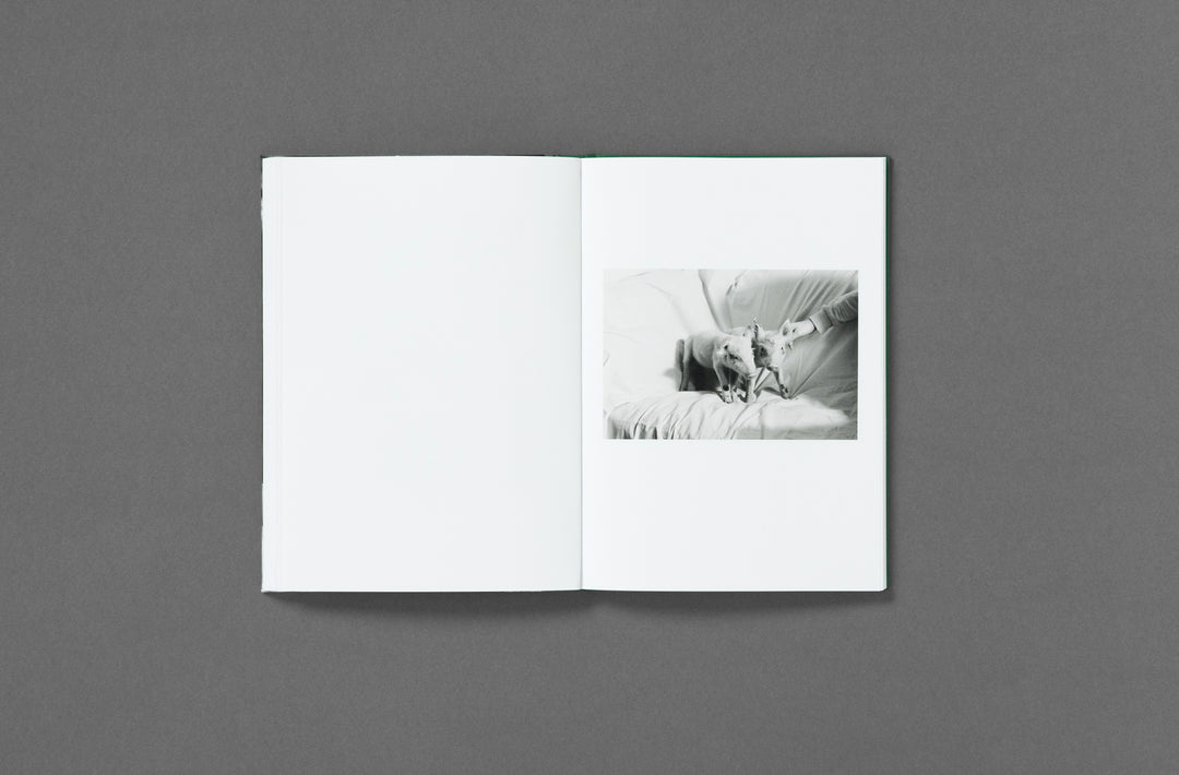 Yana Wernicke – Companions