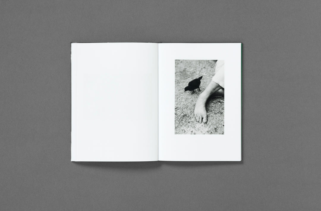 Yana Wernicke – Companions