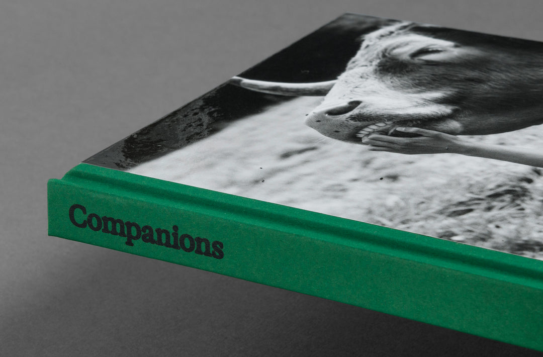 Yana Wernicke – Companions