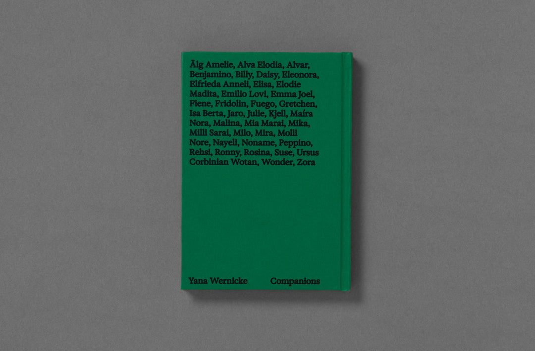 Yana Wernicke – Companions