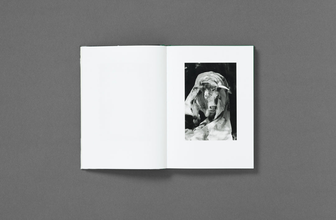 Yana Wernicke – Companions. Book published by Loose Joints. Edited by Sarah Chaplin Espenon.