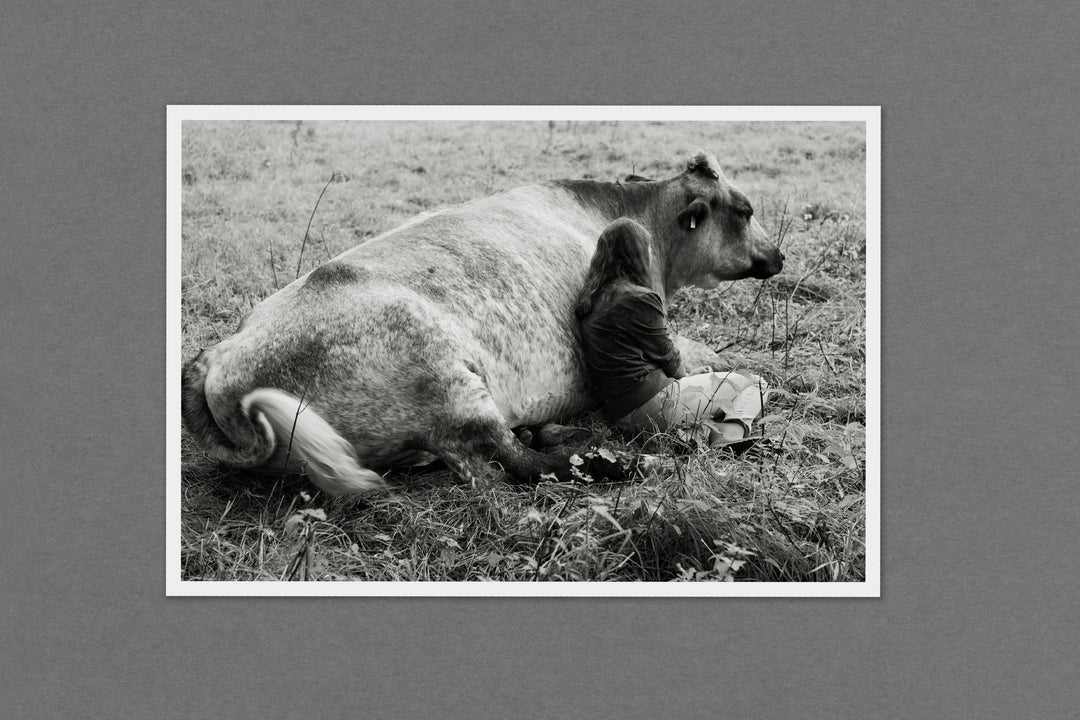 Yana Wernicke – Companions Print Edition