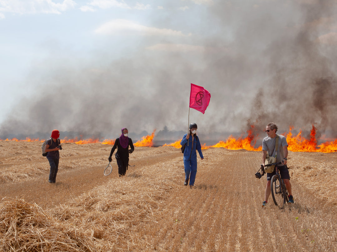 Michele Borzoni & Rocco Rorandelli – Silent Springs