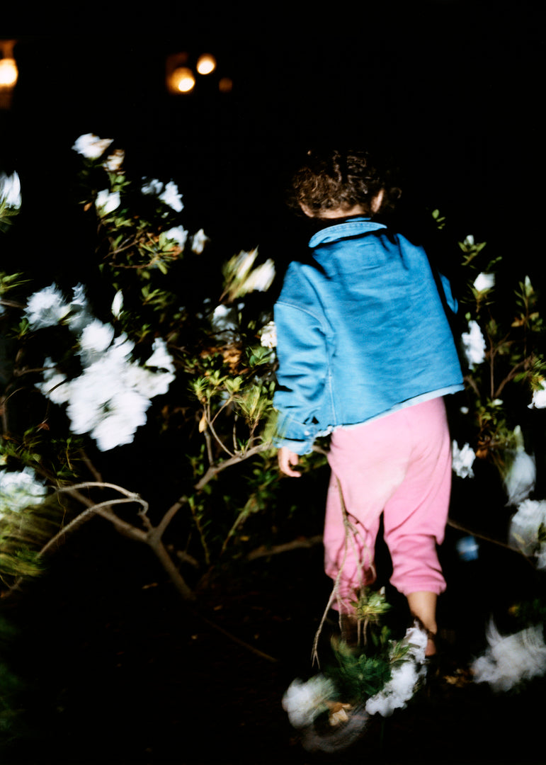 Abdulhamid Kircher – New Genesis