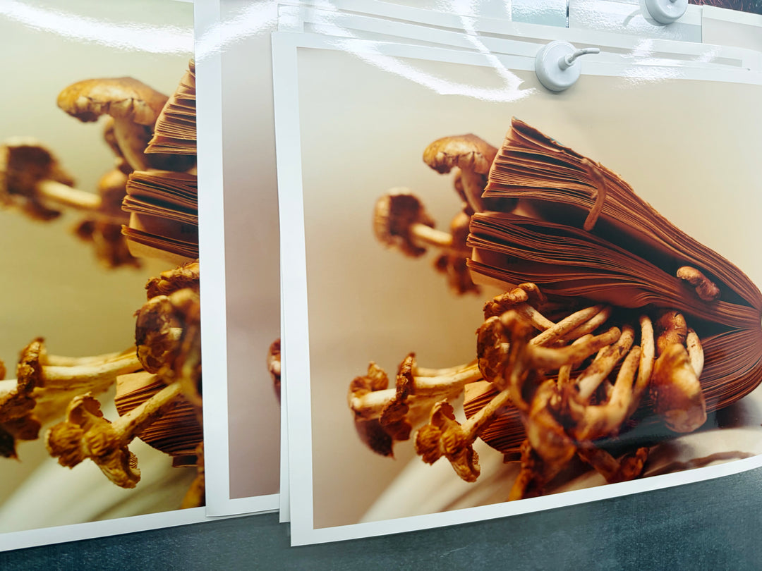 Colin Dodgson – Earthquake Weather Print Edition