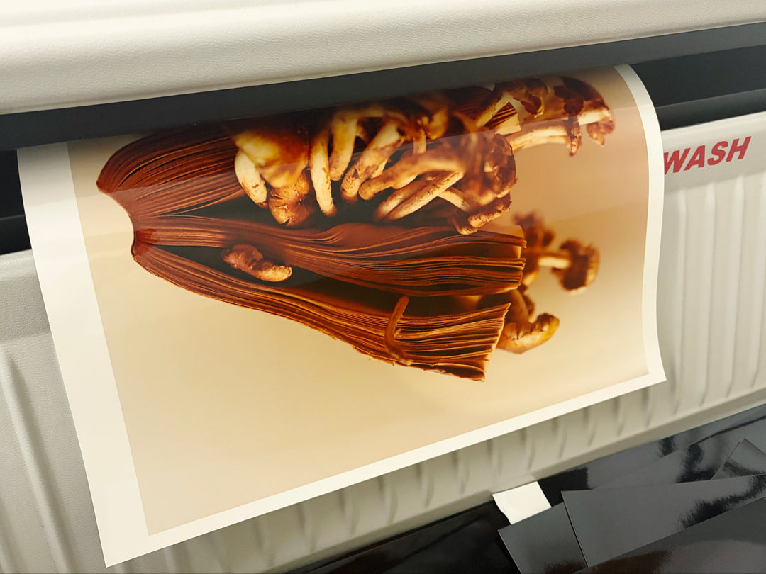 Colin Dodgson – Earthquake Weather Print Edition