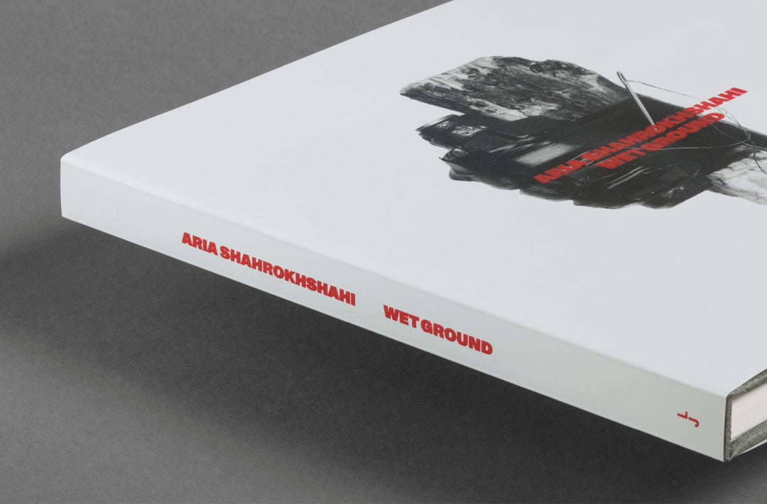 Aria Shahrokhshahi – Wet Ground