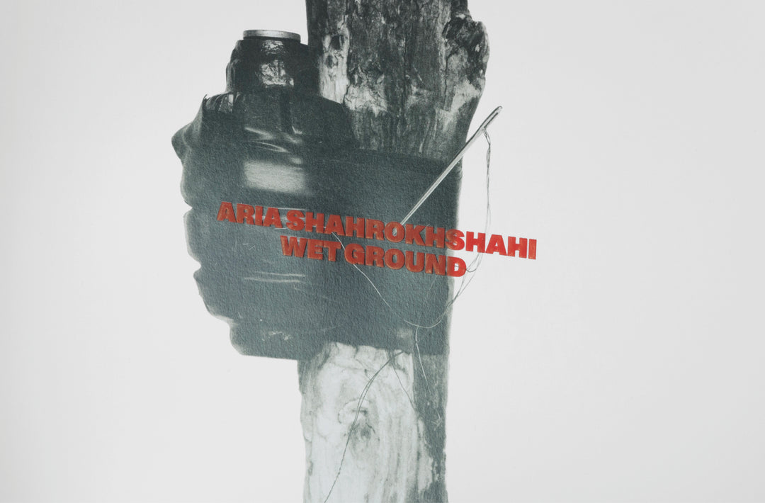 Aria Shahrokhshahi – Wet Ground