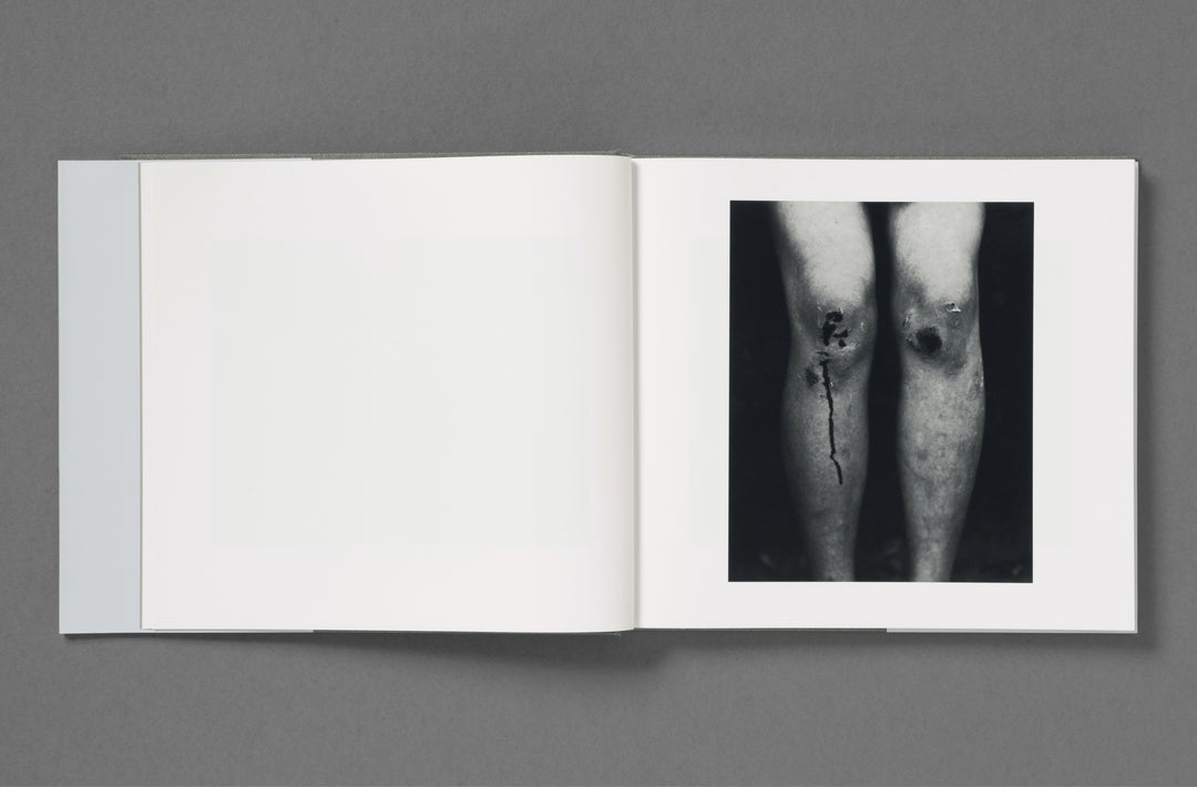 Aria Shahrokhshahi – Wet Ground