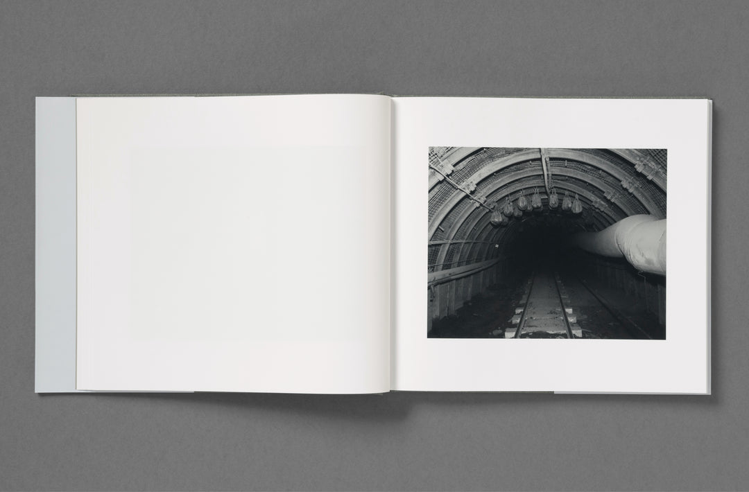 Aria Shahrokhshahi – Wet Ground