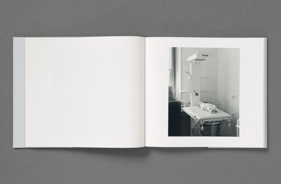 Aria Shahrokhshahi – Wet Ground