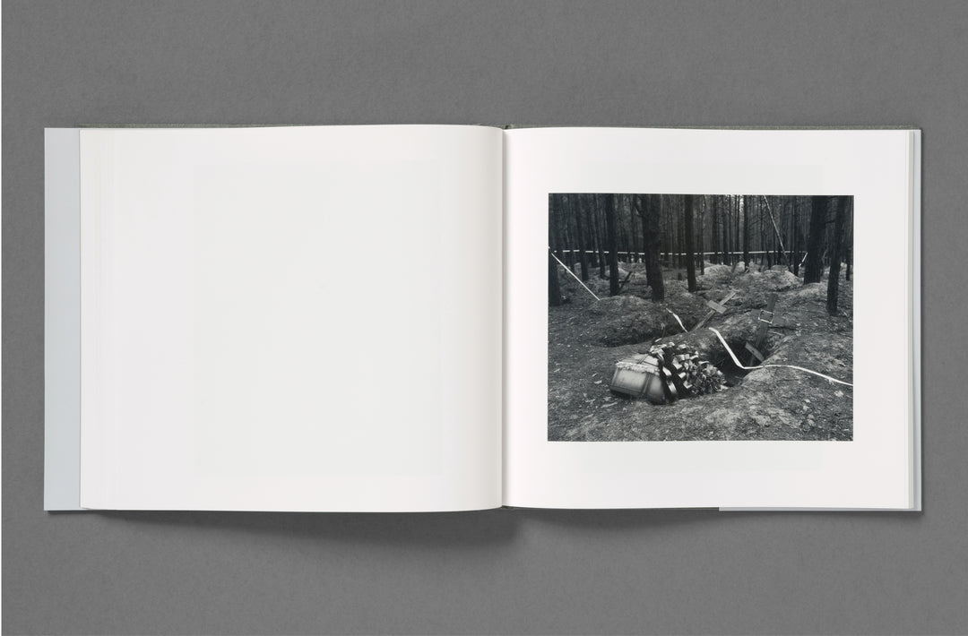 Aria Shahrokhshahi – Wet Ground