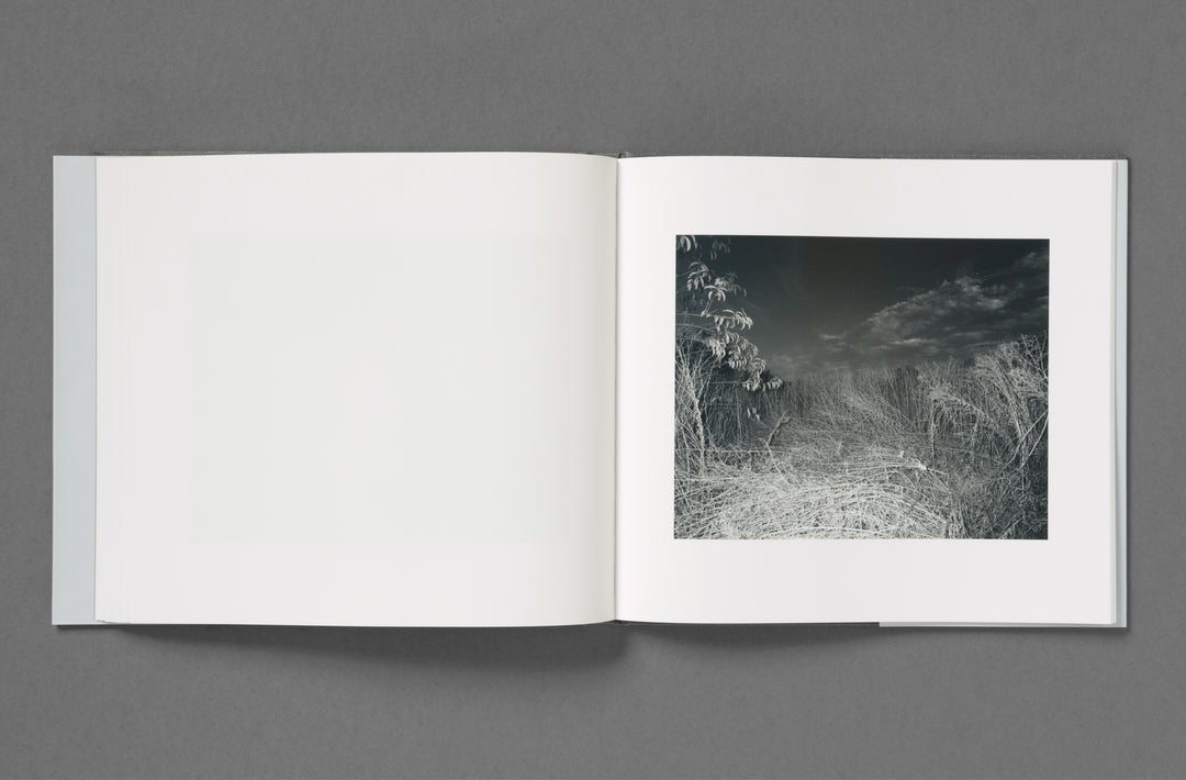 Aria Shahrokhshahi – Wet Ground