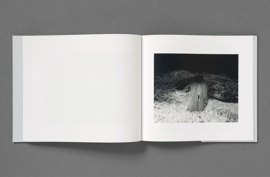 Aria Shahrokhshahi – Wet Ground