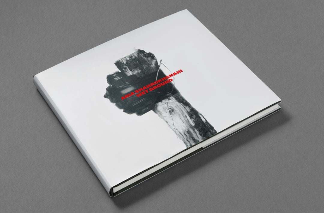 Aria Shahrokhshahi – Wet Ground