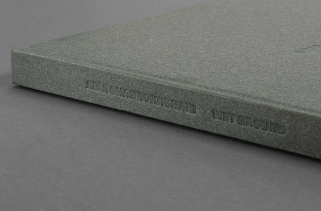 Aria Shahrokhshahi – Wet Ground