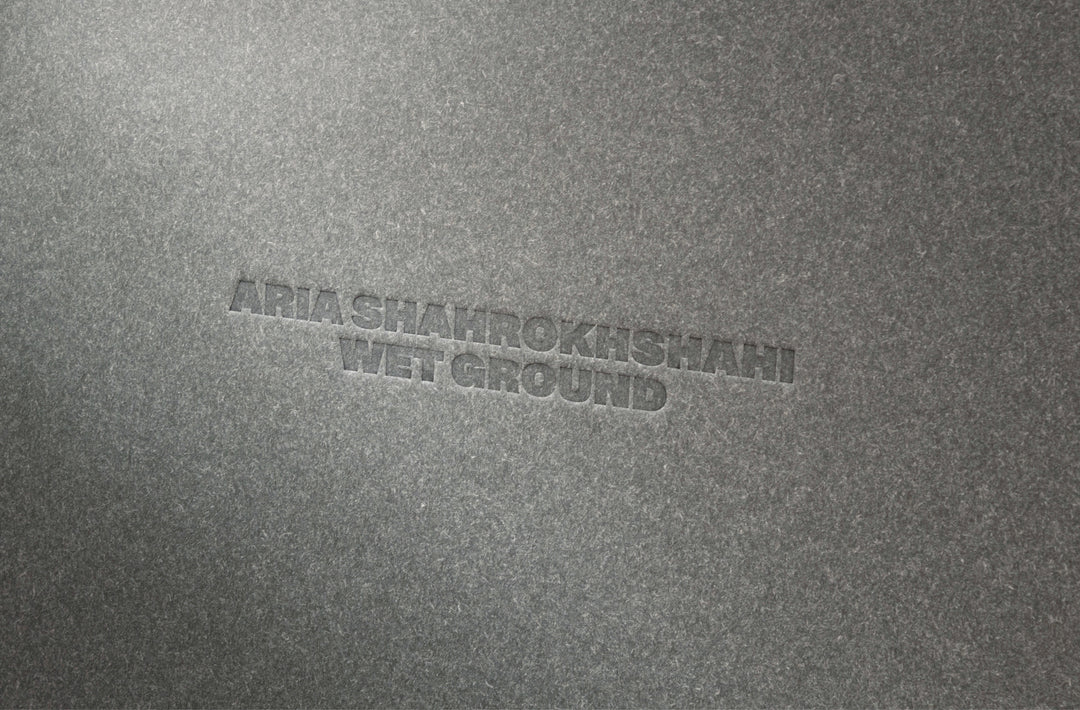 Aria Shahrokhshahi – Wet Ground