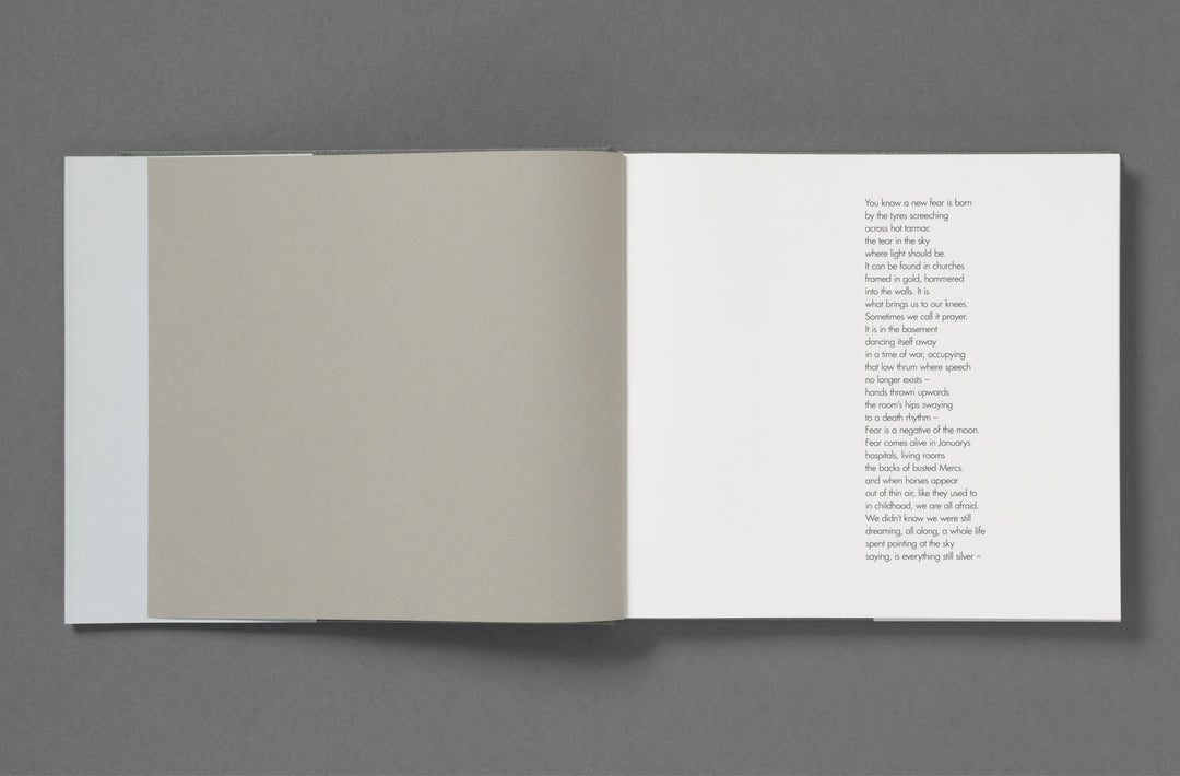 Aria Shahrokhshahi – Wet Ground