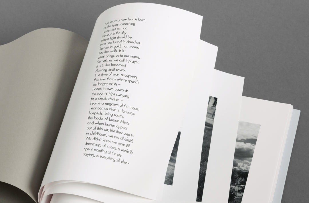 Aria Shahrokhshahi – Wet Ground