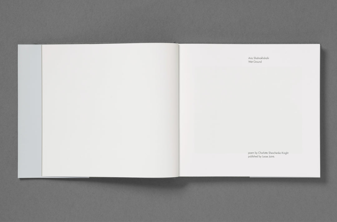 Aria Shahrokhshahi – Wet Ground